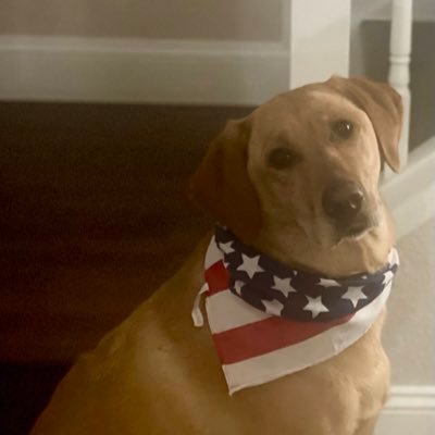 mointainmama131's profile picture. Boy mom. Hockey is actually really cool. Always take care of your goalie. Adopt a dog.