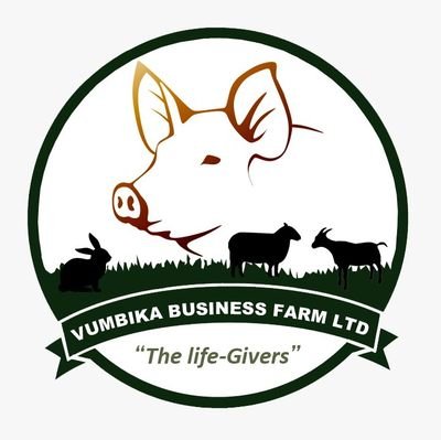-Modern Pig farming
-Modern Rabbit farming 
-Modern goat & Sheep farming/ @UmuhozaHonore Managing Director #VumbikaBusinessFarmLtd