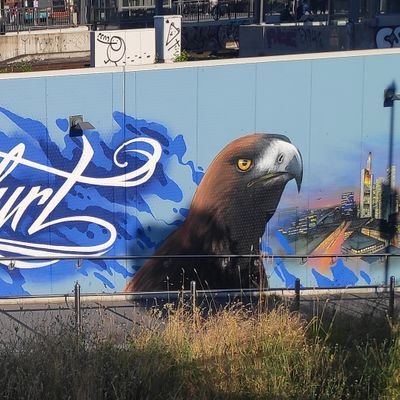 Maldenken1's profile picture. 