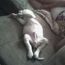 Jesse Brannon - @Murk_Tactics - Twitter