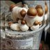 Shroomers (@davidmbugua544) Twitter profile photo Shroomers (@davidmbugua544) Twitter profile photo