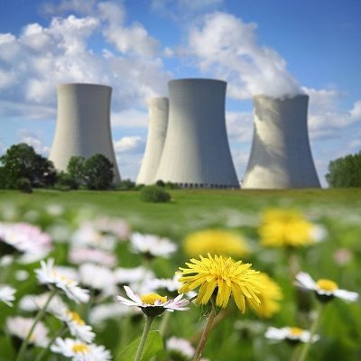 Pro nucléaire et écologiste convaincu ☢️♻️
Fier de mon pays 🇫🇷