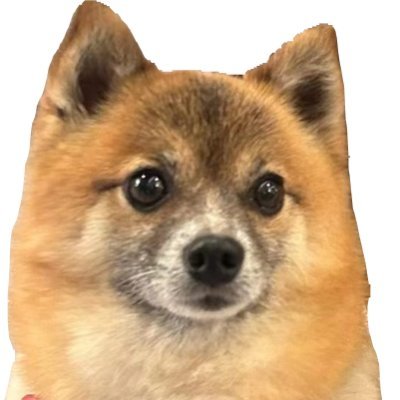 unshi1057831's profile picture. 🏃🚴🏊🧑‍💻👩‍❤️‍👨🐈