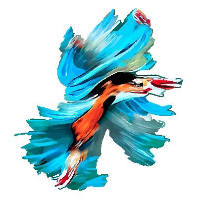 Wiep van der Toorn Profile