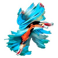 Wiep van der Toorn (@wiepp) 's Twitter Profile