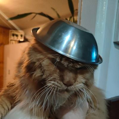 MichaKo04401610's profile picture. 