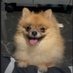 NOTHAM.linea.bera.sui 🦭/acc (Ø, G) 🔌 ⚡ (@noth_nuttiwut) Twitter profile photo NOTHAM.linea.bera.sui 🦭/acc (Ø, G) 🔌 ⚡ (@noth_nuttiwut) Twitter profile photo