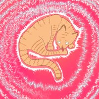 kitty 🪻(@psychedelicszn) 's Twitter Profile Photo