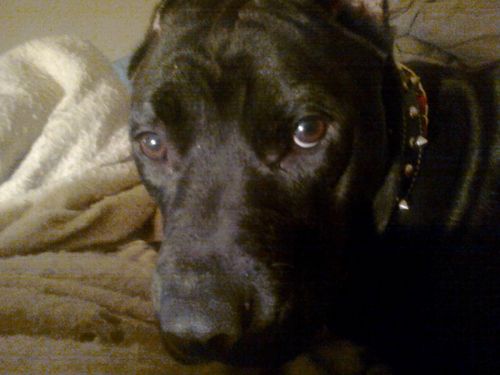 01952X's profile picture. From south Miss to Tenn. Yea, I already know..