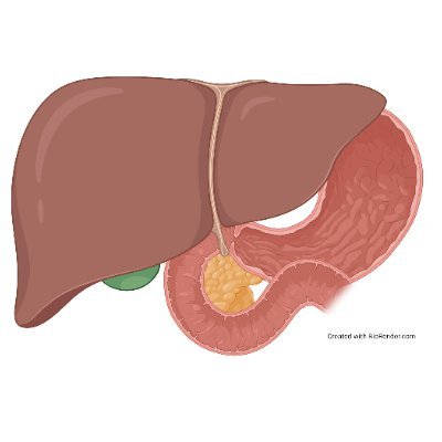 University Hospital Southampton HPB surgery Profile