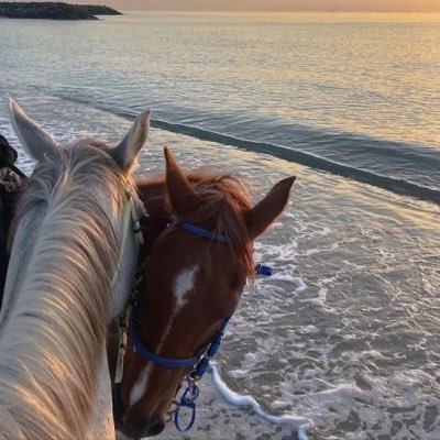 ffa122x's profile picture. أنا مااتبّع المقفين أنا استقبل المقفين من الآلام🤍