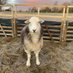 Hacked account (@xkeysfarm) Twitter profile photo Hacked account (@xkeysfarm) Twitter profile photo