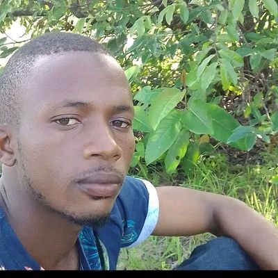 DjalloMaya28330's profile picture. 