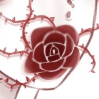 popsartl🌸✨ (@lindomaret) 's Twitter Profile