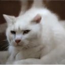 Bridges Ron - @BridgesRon90519 - Twitter