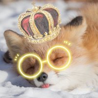 WanaRuわなる (@wanaru_sheesh) 's Twitter Profile Photo
