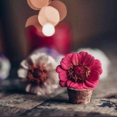 sa33_hh's profile picture. اللهمّ الكتف الثابت الذي لا تهون عليه مواجعنا ..🤍