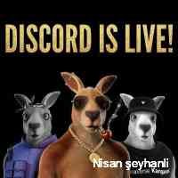 n_isansyhanli's profile picture. Bilgi🎓