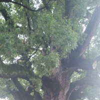 maririn32 (@maririnryu) 's Twitter Profile