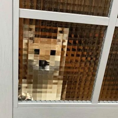 YeetsComingBack's profile picture. 