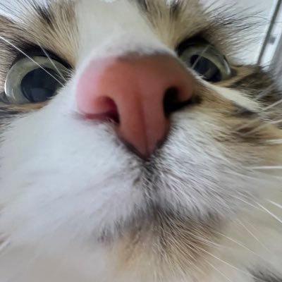 esdkokos's profile picture. main @1ezsk