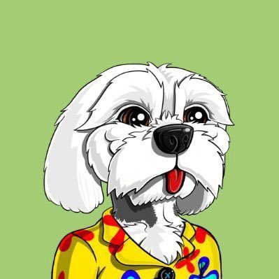 Partner @niftyportal | Spaces 8am && 5pm EST | Making Youtube Videos The Dog Behind @BoDoggosNFT -Take Profit Maxi- ---Business Requests