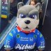 spikebristolpitbulls (@spikepitbulls) Twitter profile photo spikebristolpitbulls (@spikepitbulls) Twitter profile photo