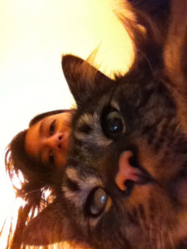 MV5611's profile picture. There are times when I wish I can reach the top shelf. That is where the chocolate is.