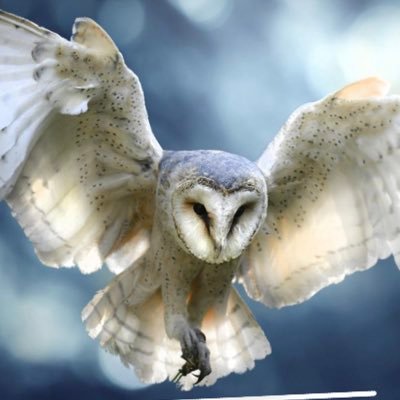 liane2801's profile picture. 