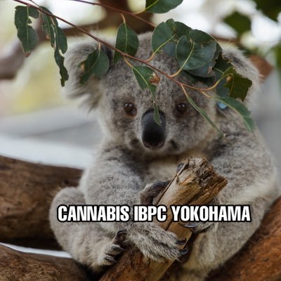 ibpc_yokohama Profile Picture