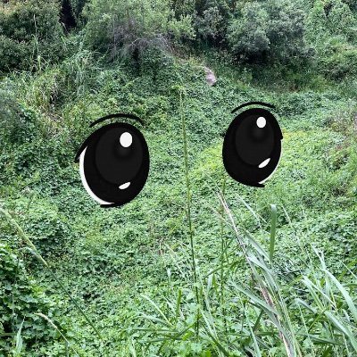 @borg_brain