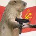 Comrade Capybara (@comrad3capy) Twitter profile photo Comrade Capybara (@comrad3capy) Twitter profile photo