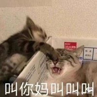 24孝全职保姆 (@amtisnon) 's Twitter Profile
