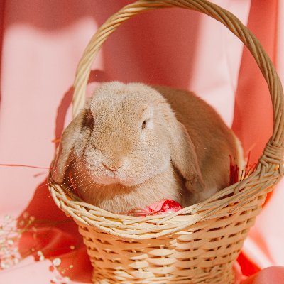 hot1710213's profile picture. 