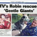 Burt Ward&Tracy Ward - @GentleGiantsRsQ - Twitter