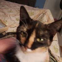 THE MAD SPRAD (@kennethspradlin) 's Twitter Profile