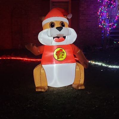 Craig49735394's profile picture. It's always 4:20.