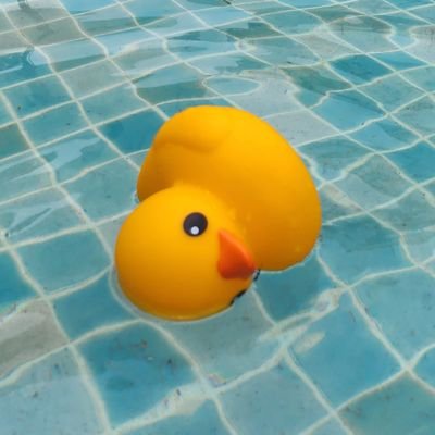 렙흐さんのプロフィール画像