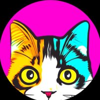 こあさ (@koasa_koasa) 's Twitter Profile