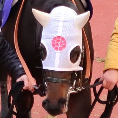 へっぽこ競馬好き🦄ゴルシ＋ゴルシ産駒、ソダシ＋白毛一族、ウメムスビ、ウメテマリ、ウメミライ、ビアンカちゃん🌈❤️ 牧草🌿へっぽこ釣り好き♀青イソメは指でも千切れマスw でもルアーが好き💜 無言フォローお許しくださいませ（^人^） 平日：仕事忙しめ、休日：競馬三昧が夢（・∀・）ﾑﾌｰ