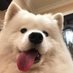 aa (@amaomaomamaom) Twitter profile photo aa (@amaomaomamaom) Twitter profile photo