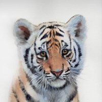 진순덕 (@jinsoonduk) 's Twitter Profile Photo 진순덕 (@jinsoonduk) 's Twitter Profile Photo
