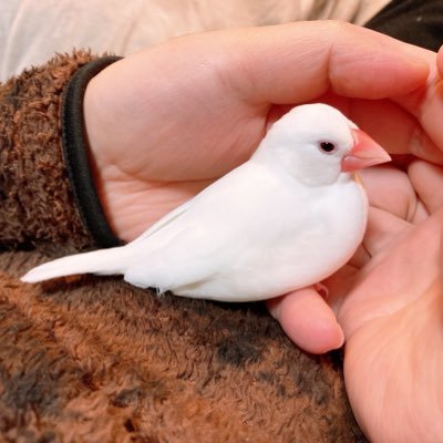 24DY25's profile picture. 