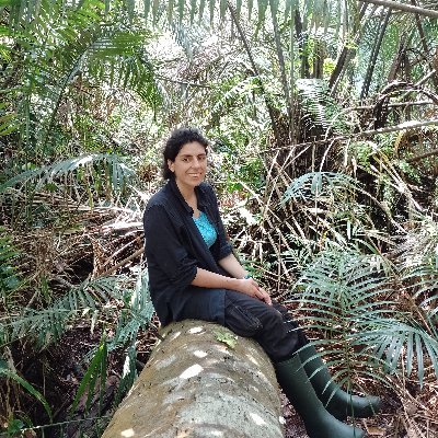 SelenaGeo2's profile picture. I research tropical peatland hydrology and greenhouse gas balance using remote sensing data 🌴🛰️