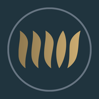 solutions_mis's profile picture. The all-inclusive tech partner you've been looking for. 

IT Service  ➡️  IT Operations  ➡️  IT Projects