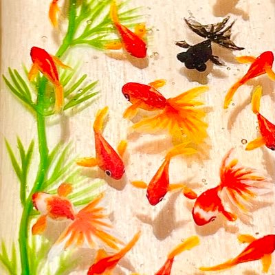 金魚 レジン 金魚玉 赤 大幅値下/メール便OK/日本製 - gravablock.com.sv