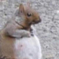 Jacques (Taylor's version) (@jacquesshow) 's Twitter Profile