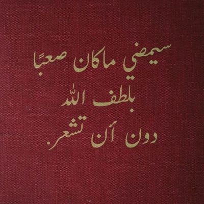 12345alirami's profile picture. non