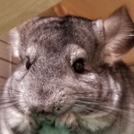 ZeYgSdrgdPPDPxb's profile picture. 2023年2月に華麗なる弾き語りを目指し
愛機となるYAMAHA、FG830(ヤサオ)を購入

#萩原悠ギター教室 に出会い、エレキの練習も開始し、弾き語りに留まらないギター上達に日々精進しています