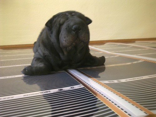 intech96's profile picture. Продажа и монтаж инфракрасных пленочных теплых полов.